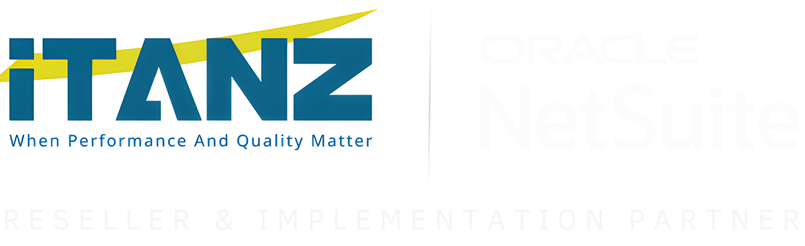 iTANZ — Oracle NetSuite reseller and implementation partner